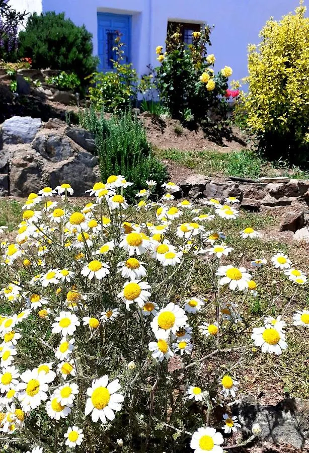 Guest house Cortijo Los Maximos Hotel Turon Spain
