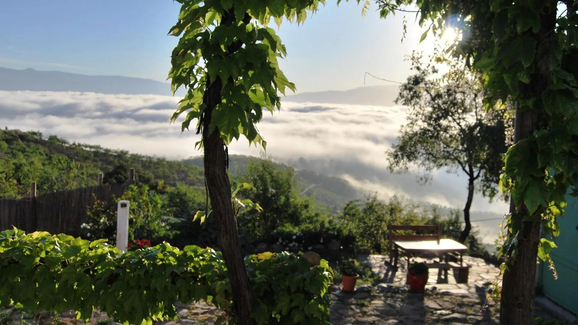 Maison d'hôtes Cortijo Los Maximos Turon