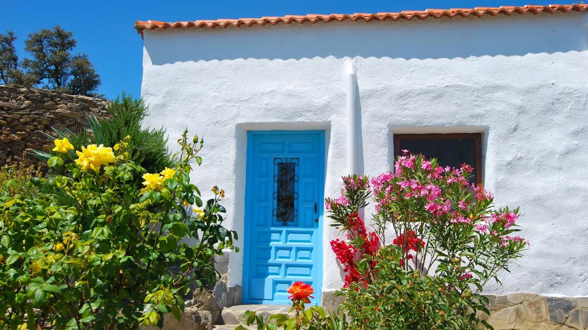 Guest house Cortijo Los Maximos Hotel Turon Spain