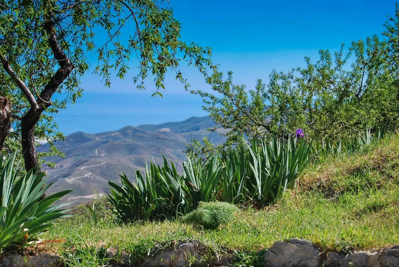 Guest house Cortijo Los Maximos Hotel Turon
